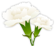 バーチャル献花を行う